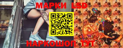 ECSTASY Обь