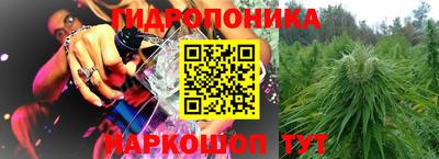 ECSTASY Обь