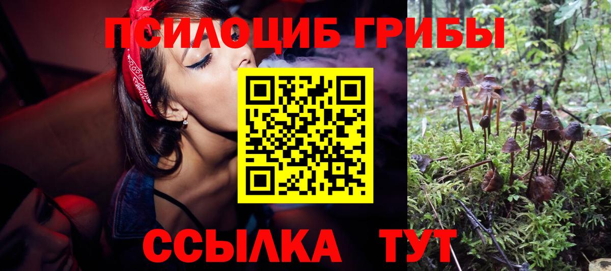 Псилоцибиновые грибы мухоморы  Вход с VPN  Галлюциногенные грибы Psilocybe  Похвистнево 